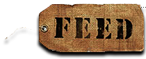 FEED Projects feeds hungry kids through the sales of the FEED Bags.