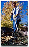 Outdoor Maintenance