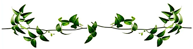 Plant Design