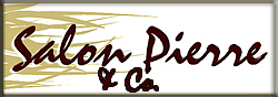 Salon Pierre Boca Raton hair salon
